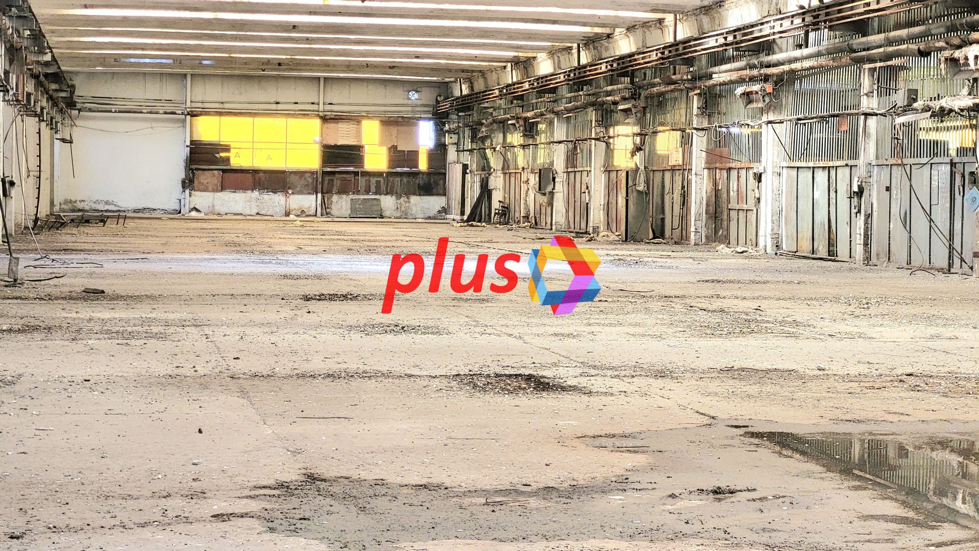 Hala - 2000 mp  # plus-imo.ro - Poză 4