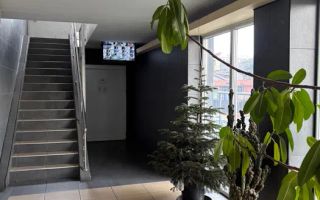 Garsoniera Spatioasa Vitan - Poză 4