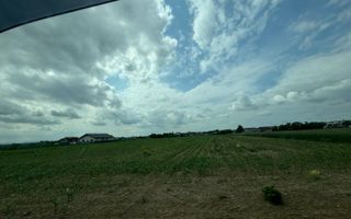 Vând Teren Intravilan 18.500Mp|  Dumbrăveni/SuceavaI 6000 EuroAr - Poză 3