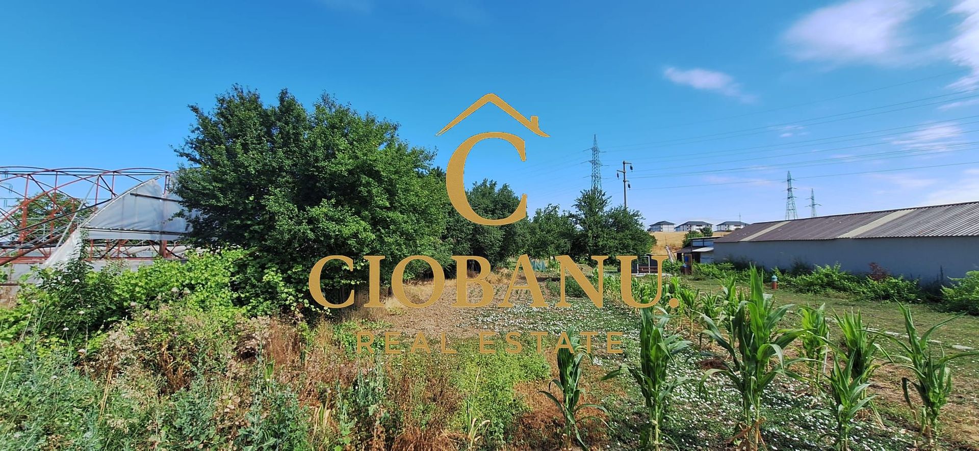 Teren intravilan de vanzare in Isalnita - Poză 9