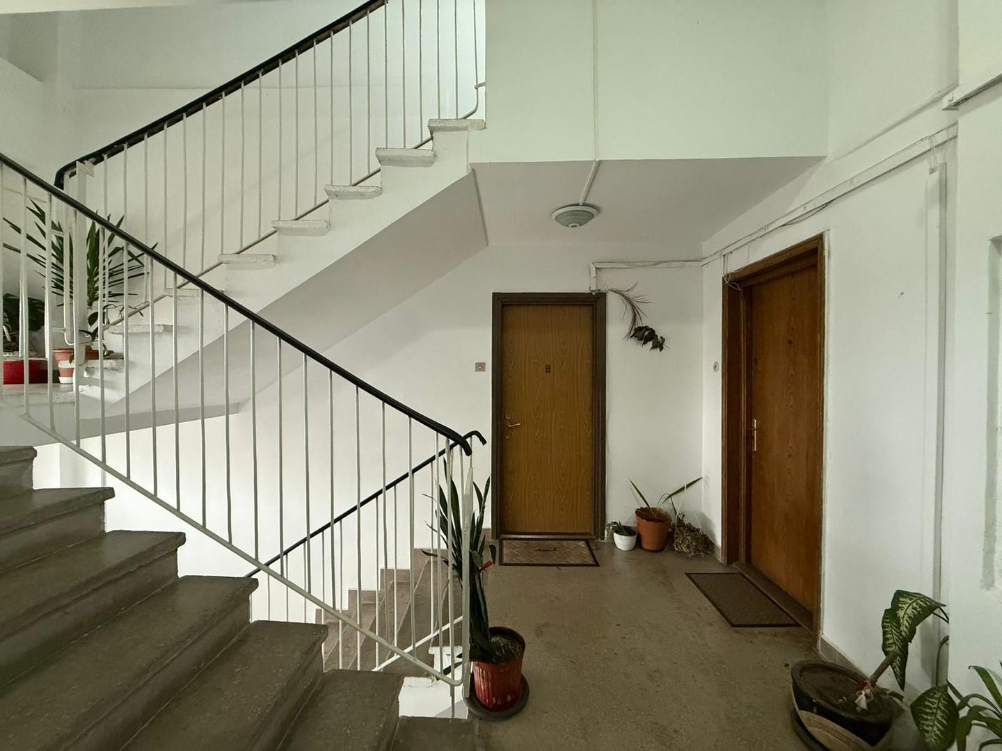 3 camere | Teiul Doamnei | Bloc din 83 | Reabilitat - Poză 15