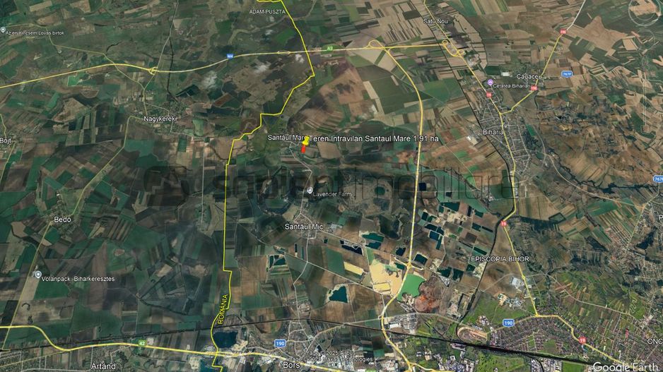 Sapient | Teren intravilan UAT Borș, Loc. Santaul Mare 19.100 mp - Poză 3