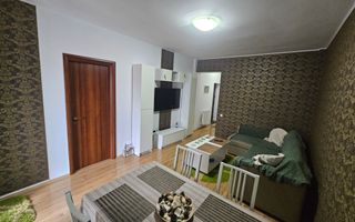 Apartament 2 camere Damaroia - Poză 4