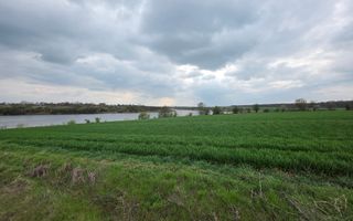 Balta pescuit, peisaj de vis,  padure-lac, investitie garantata - Poză 1