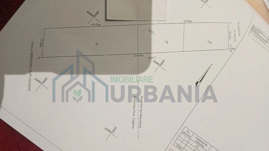 Terenuri de construcție în satul Mânzatesti, comuna Ungheni, Iași - 2 loturi de câte 2000 mp - Poză 2