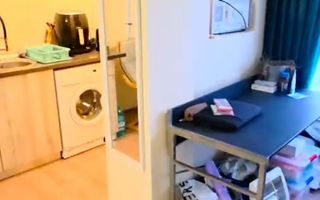 1 camera amenajat Take Ionescu - Poză 11