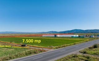 Teren comercial/industrial | 7.500 m² | strada Zizinului - Poză 5