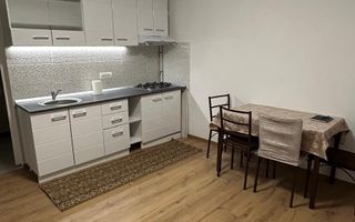 GARSONIERA - RAHOVA, PET-FRIENDLY, MOBILAT/UTILAT MODERN, CURTE - Poză 4