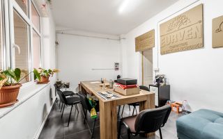 Hale depozitare/producție 2.000 mp si 10.000 mp teren în Pecica - Poză 7