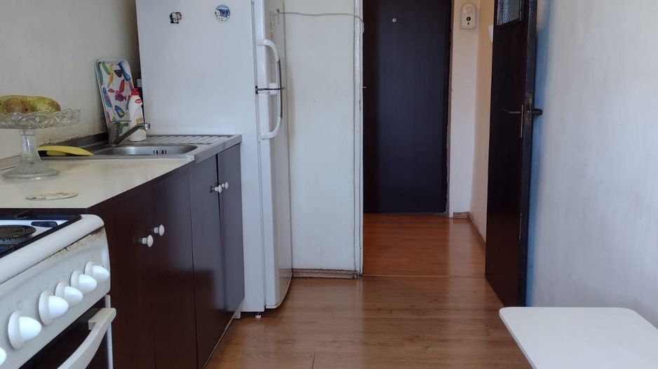 Garsoniera Aviatiei | Herastrau - Poză 6