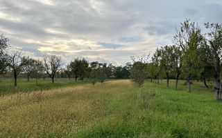 Casa de vanzare Seini - Poză 3