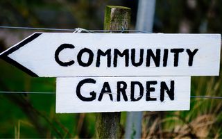 Parcele teren, zona agremet langa Timisoara. - Poză 3