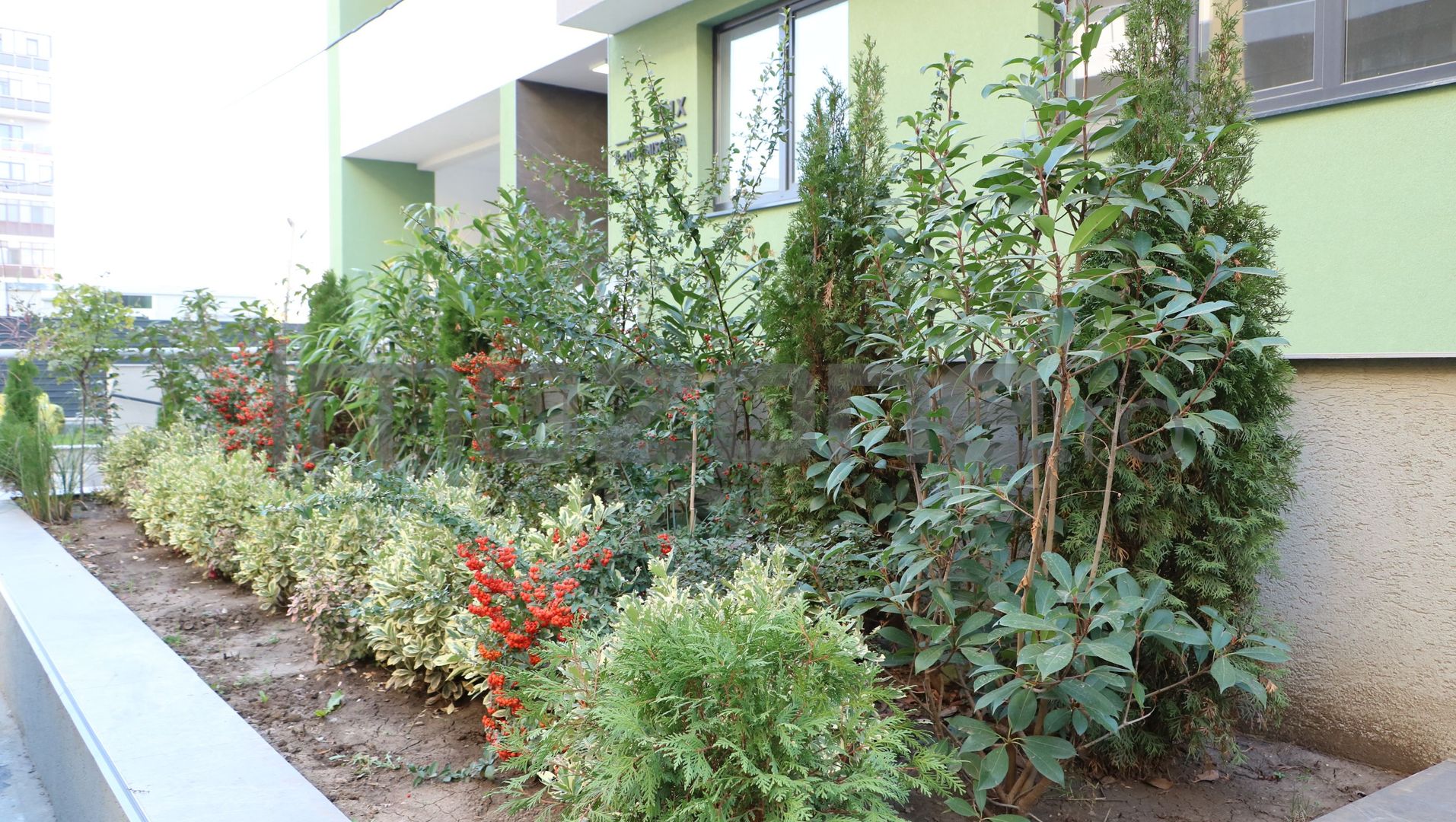 3 CAMERE LA PARTER CU CURTE PROPRIE DE 57MP,  2 BAI, POZITIE PE SUD, COMISION 0% - Poză 13