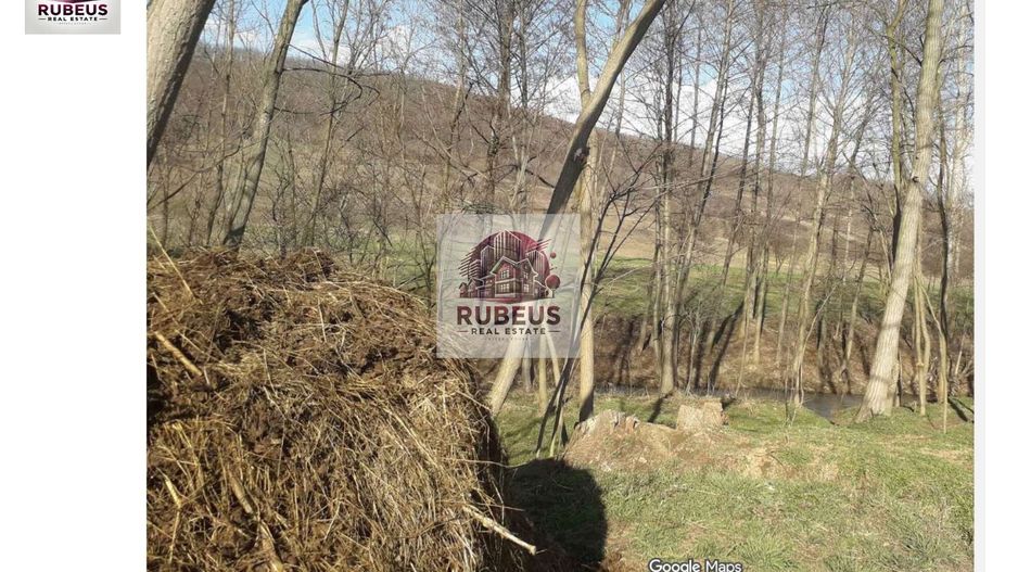 Oportunitate rară! 1 ha pădure Corcova – teren cu potențial real - Poză 4