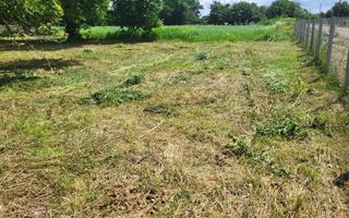 Casă bătrânească cu 5200 mp teren în Damileni - Botoșani - Poză 2