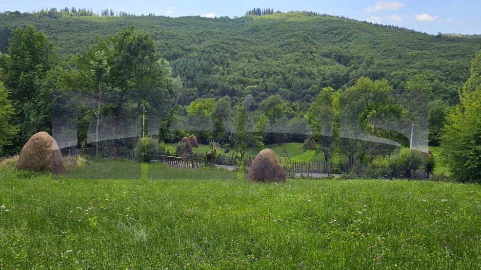 VANZARE 5 LOTURI TEREN PENTRU CASE DE VACANTE | TESILA | VALEA DOFTANEI | - Poză 1