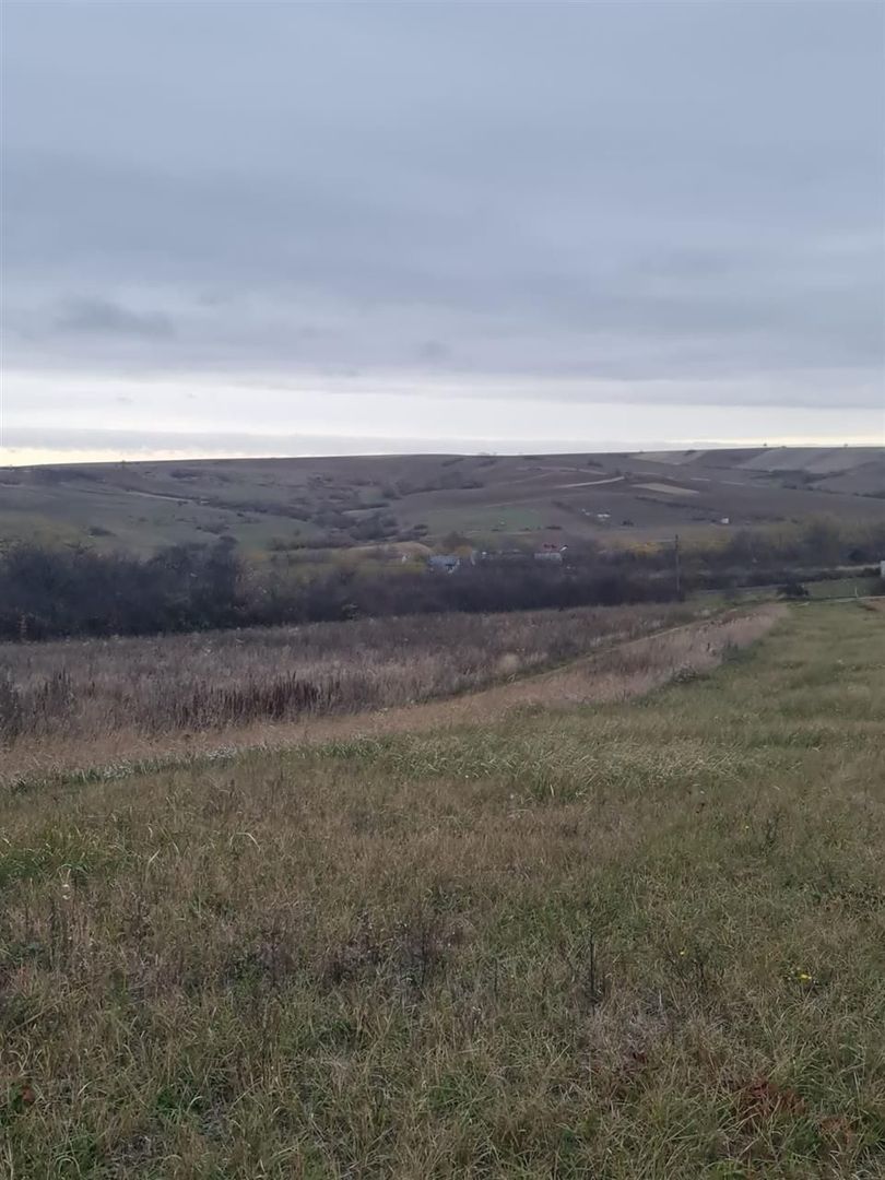 Teren Cetariu 9900 mp - Poză 6