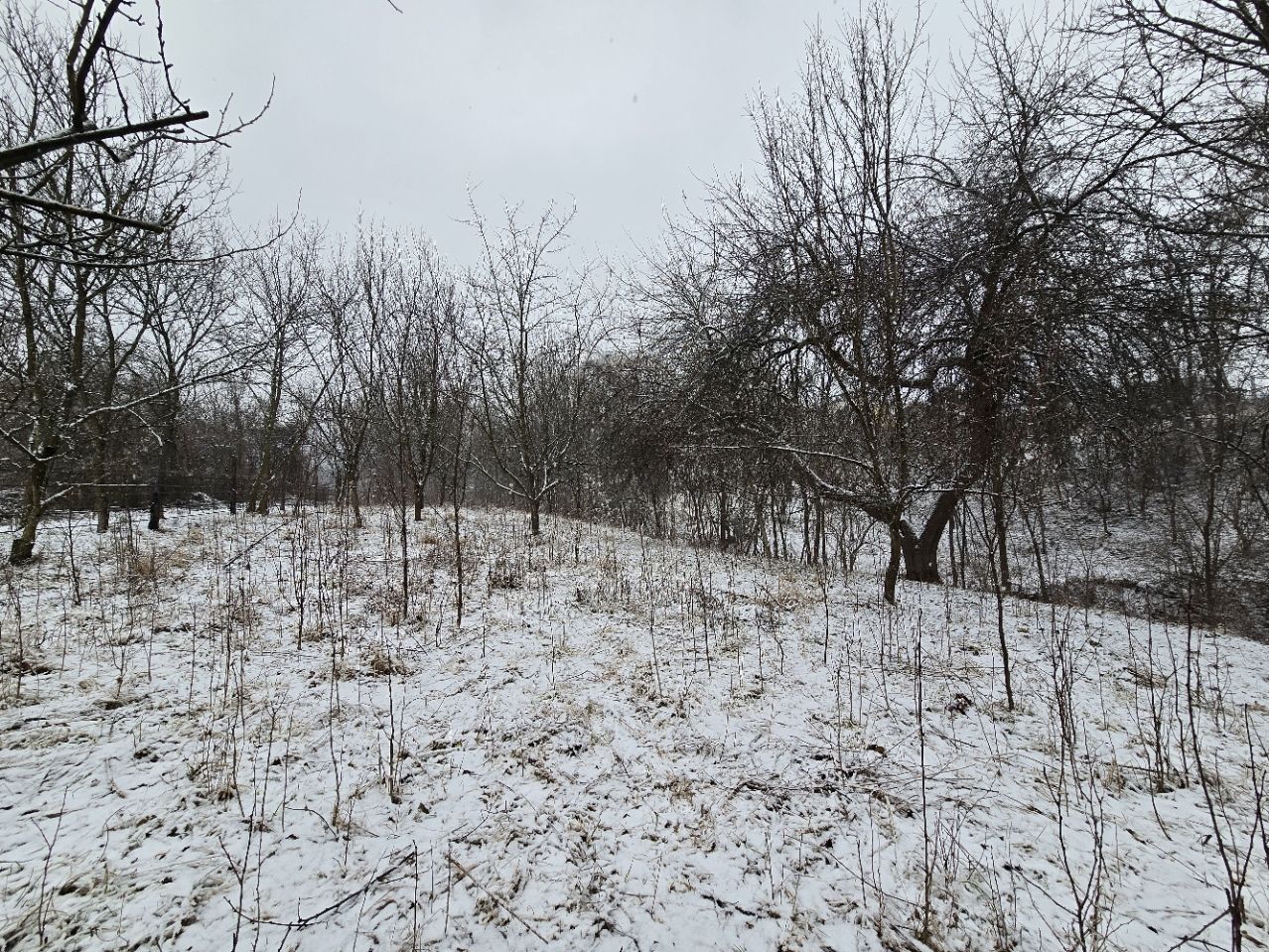 Casă și teren de vânzare în Colibași Dâmbovița Liniște Spațiu Natura - Poză 3