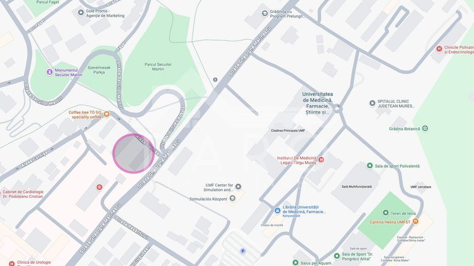 Apartament 2 Camere de Inchiriat Cornisa - UMFST - Spital - Platou - Poză 8