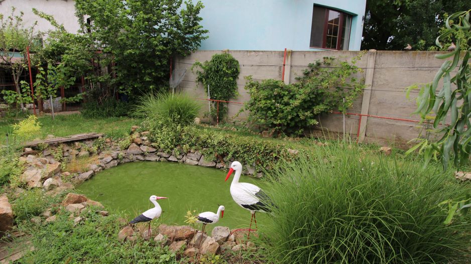 CASA CU TEREN MARE IN ZONA MEHALA - Poză 11