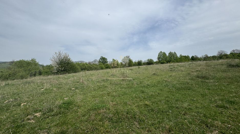 TEREN INTRAVILAN, 7472 MP, VALEA MARE PRAVAT, ARGES - Poză 10