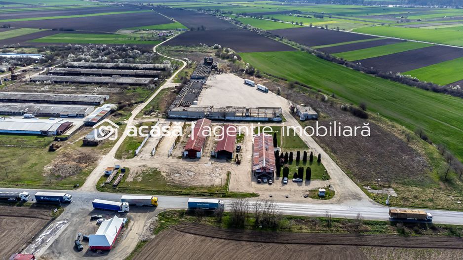 4,2 ha Teren DN7 Nădlac pentru Parc Logistic - Poză 5