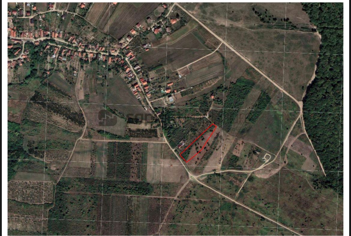 Sapient | Teren intravilan in Saldabagiu de Munte - Poză 2