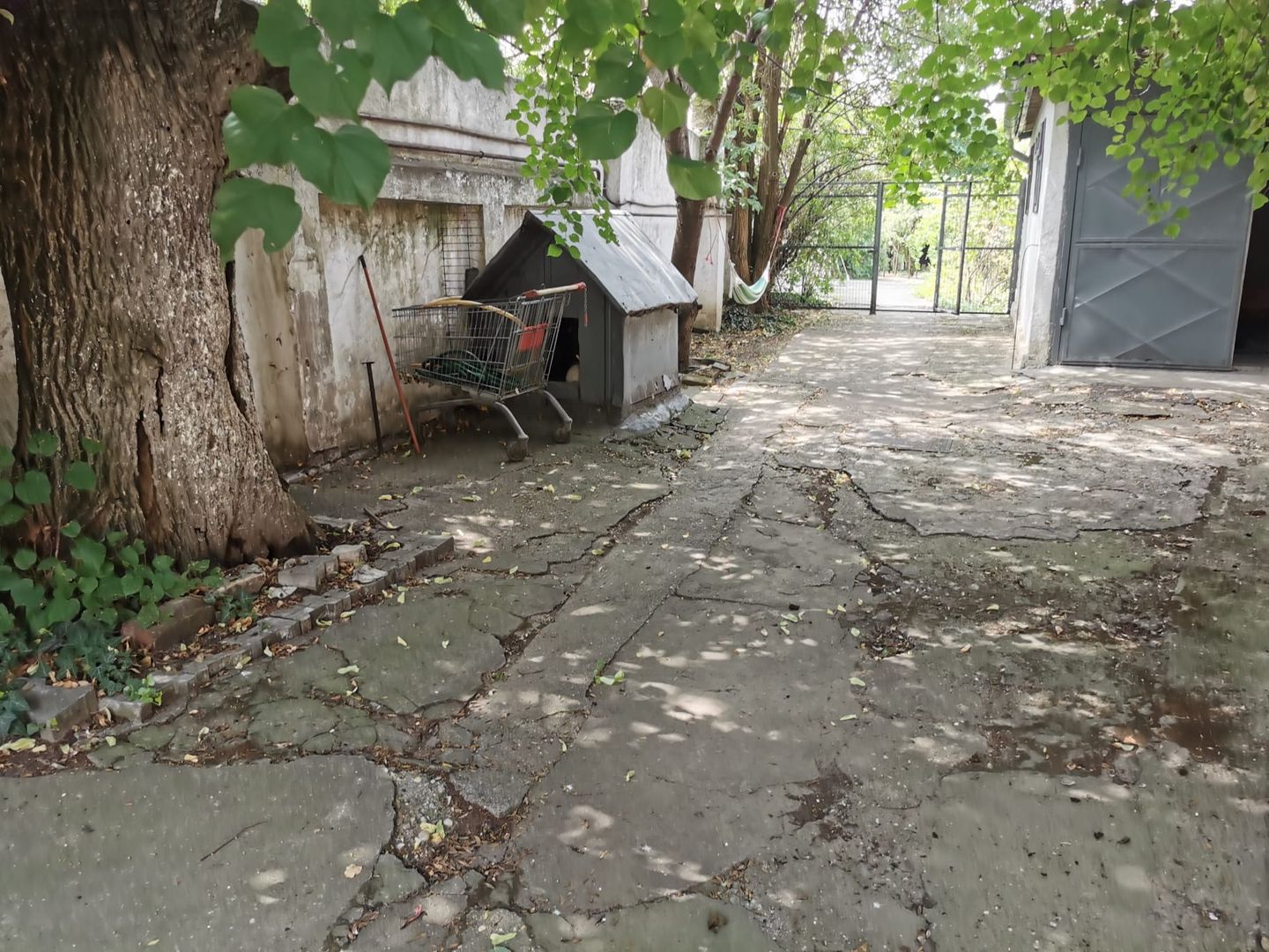 Cel mai ieftin teren central! -  strada Acvila nr 16.  -13 Septembrie - Poză 6