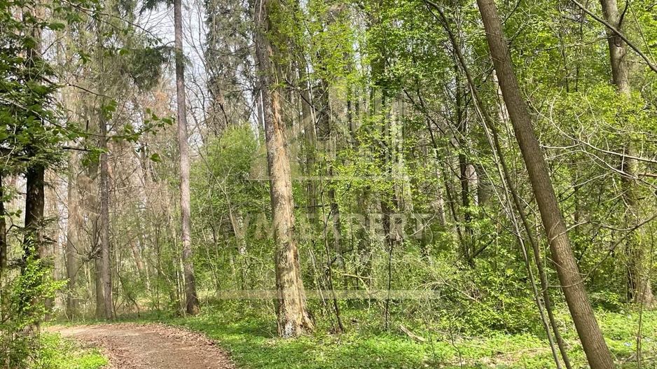 TEREN INTRAVILAN 1800 MP MIHAESTI ARGES COMISION 0 - Poză 6