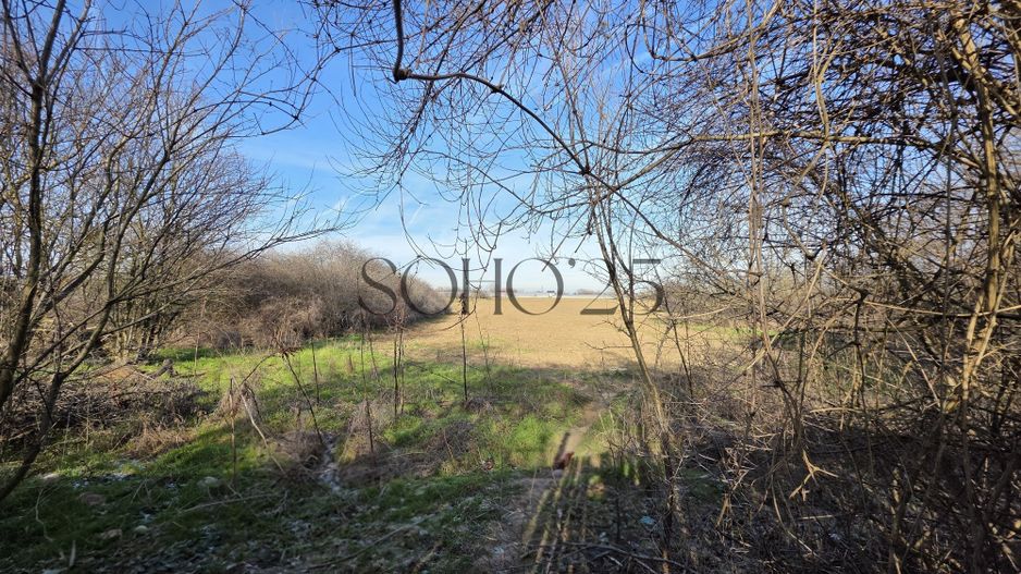 Teren lângă București 6000mp - Poză 7