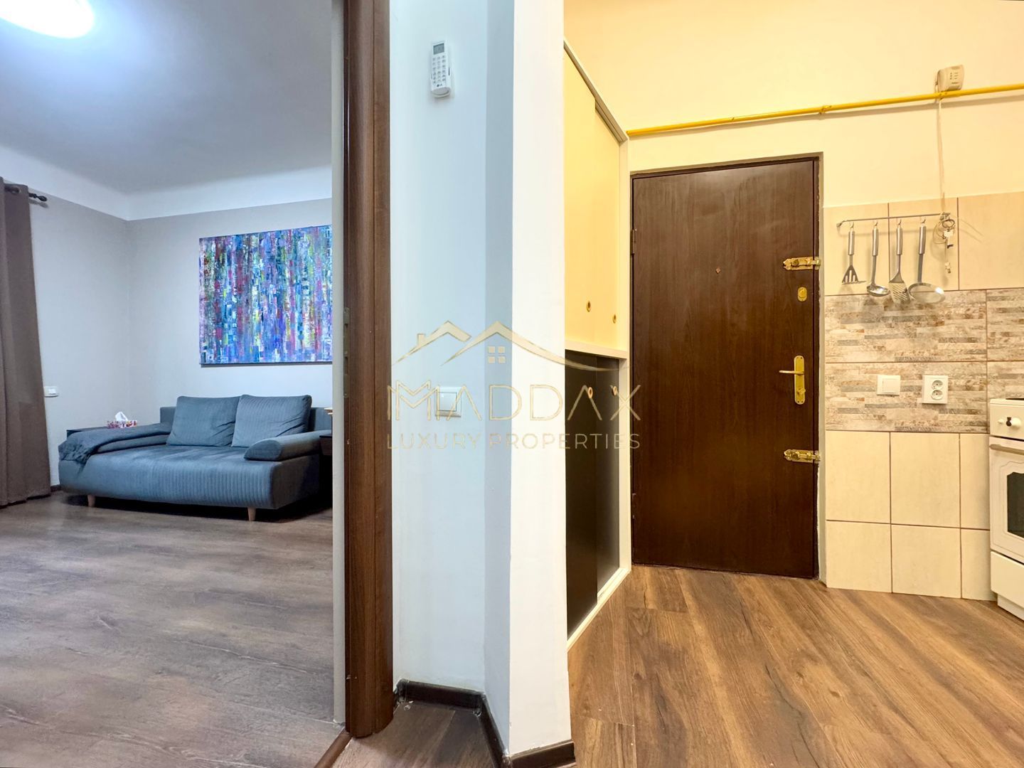 Apartament cu 2 camere in Vila *Parter* // Parcul Carol - Poză 9