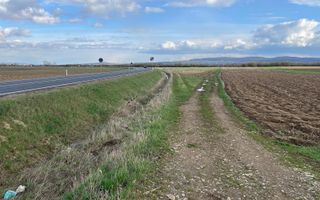 Teren Extralian | 50 de Ari | Horodnic de Sus - Poză 3