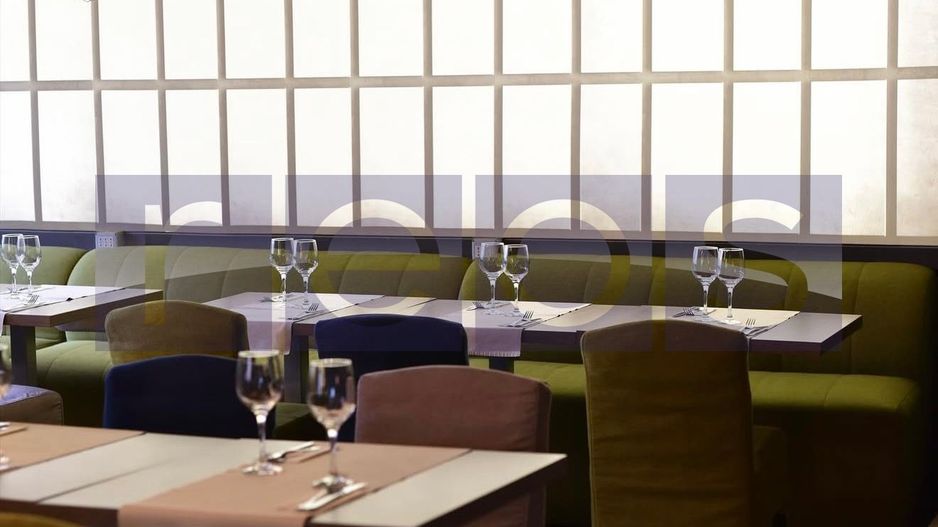 OPORTUNITATE | INCHIRIERE VILA | IDEAL RESTAURANT | GRADINA ICOANEI | - Poză 31