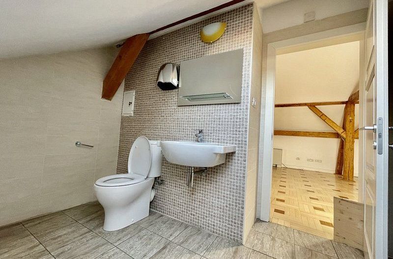 Spațiu Birou - Mansarda Cosy - Poză 7