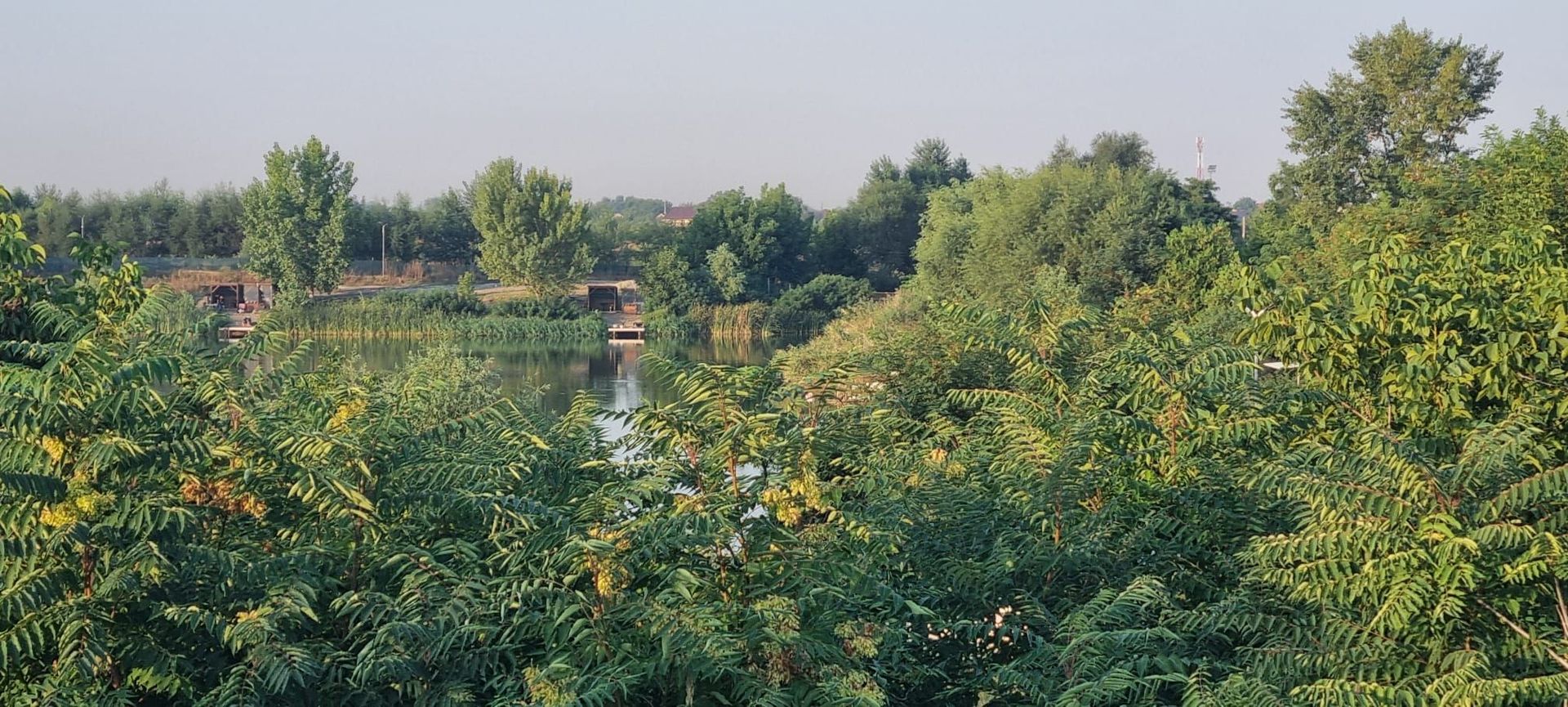 Teren cu Vedre Lac - Poză 2