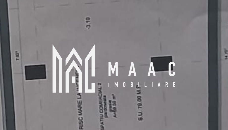 Spațiu comercial | 79MPU | Vad Pietonal | Turnisor - Poză 1