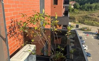 Apartament de închiriat în complexul Freya Home, Bucium, Iași - Poză 13