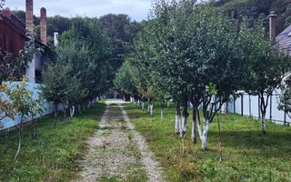 Casa | Foisor | Livada | Teren 2000 mp | Zizin | Brasov - Poză 24