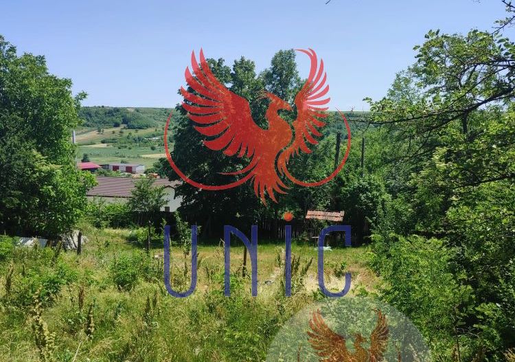 Teren intravilan Cernatesti - Poză 11