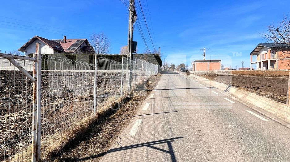 Vanzare I TerenIntravilan I Moara Nica/Suceava I 12.300 Mp I 64Euro/Mp - Poză 3