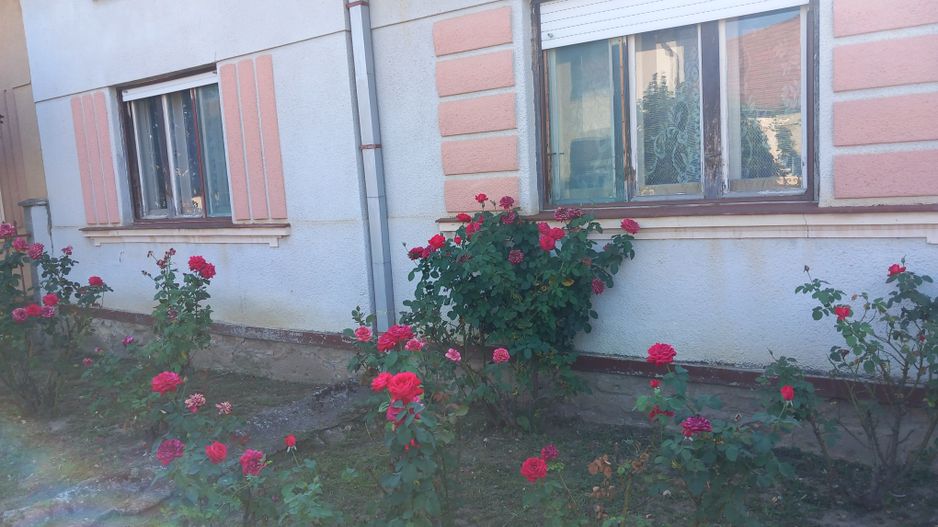 BRASADAS vinde casa 3 cam. zona Unirii teren 550mp. - Poză 2