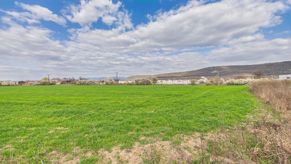 Teren extravilan, 1 ha, în orașul Sebiș, Arad - Poză 3