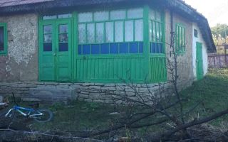 SUPER OFERTĂ: 5000 mp,gaze,canalizare, curent jud Iasi Loc. Ceplenita - Poză 4