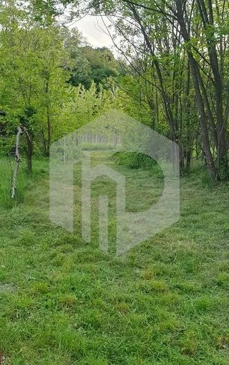 Teren Intravilan Valea Avrigului- 2000 mp-Raul lângă teren-parcelabil - Poză 6