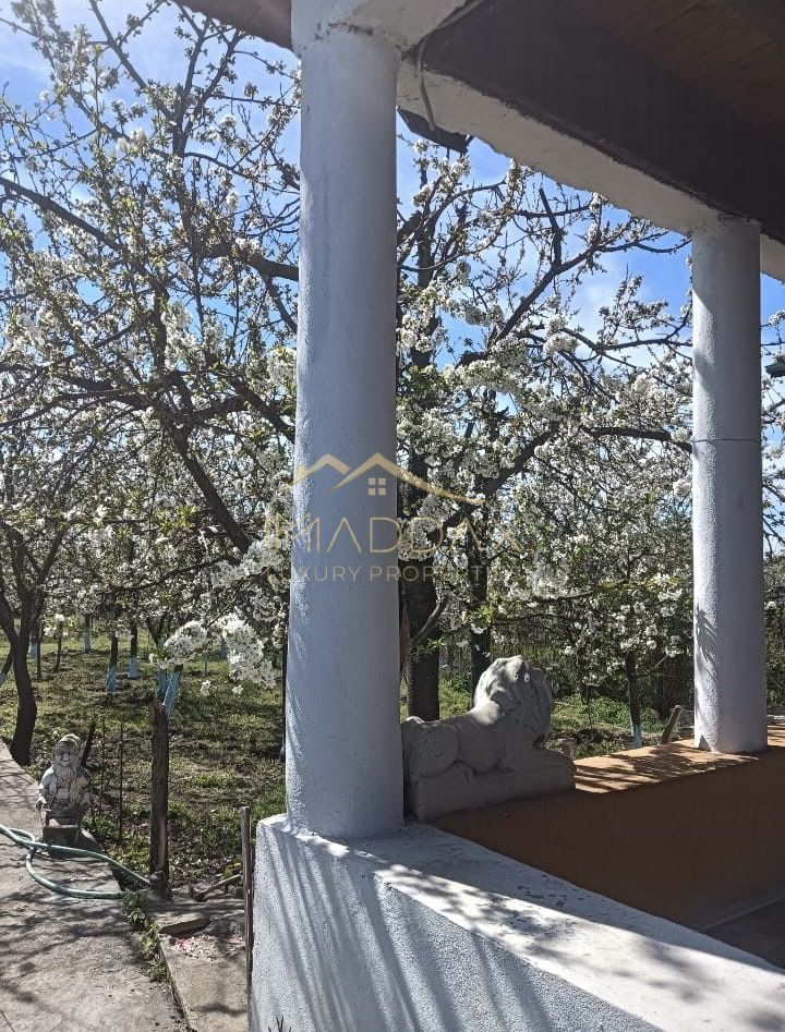 Vila 9 camere***gradina cu pomi fructiferi//1085 mp teren***Dragomiresti-Deal - Poză 3