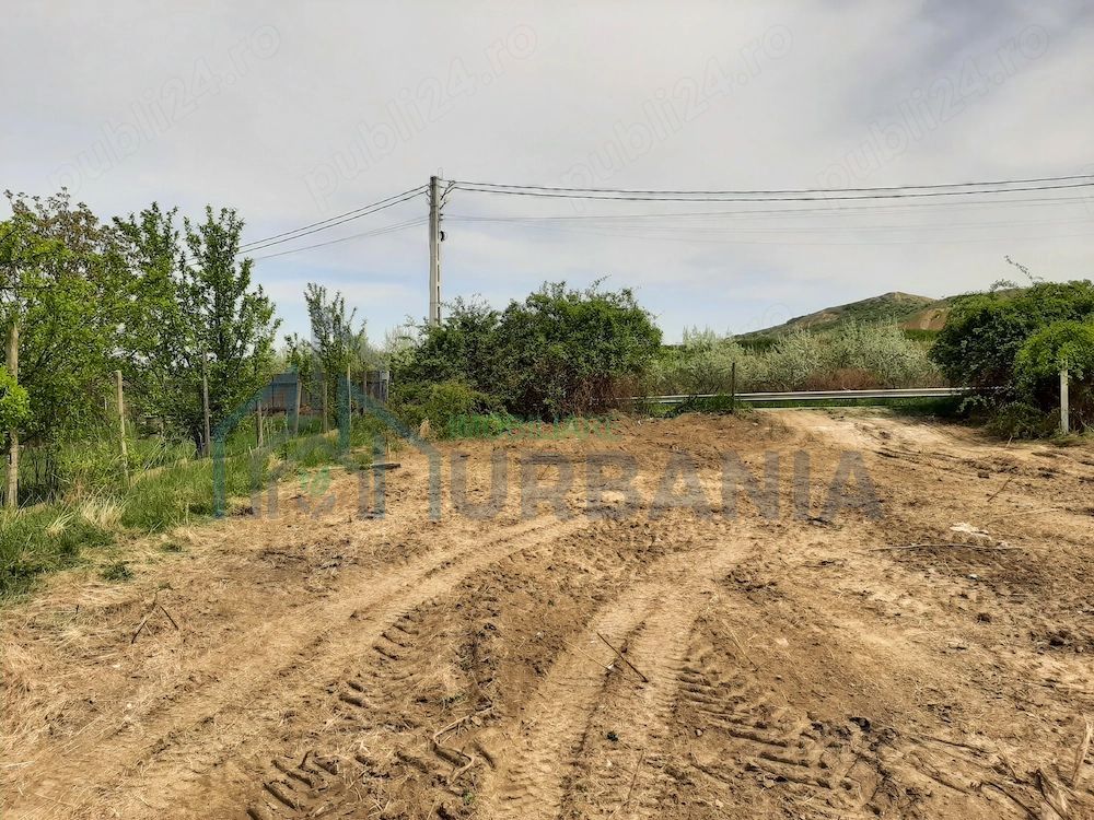 Teren de 1480 mp de vanzare in localitatea Vladiceni - Poză 4