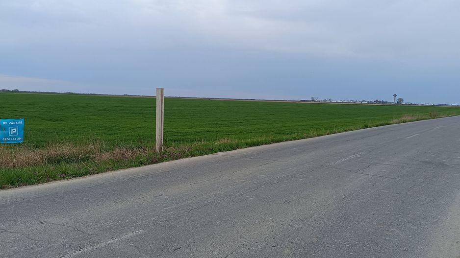 Teren extravilan 5 hectare ( zonă industrială ) Șag - Poză 11