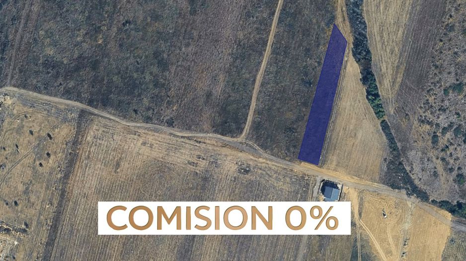 COMISION 0% | Teren extravilan | 3.700 mp | F.S. 16 m | Moșnița Nouă - Poză 1