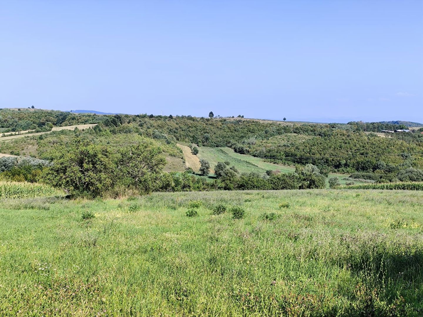 Casa la tara, Calea Mare, Bihor, teren mare, 2 intrari auto – vanzare - Poză 18