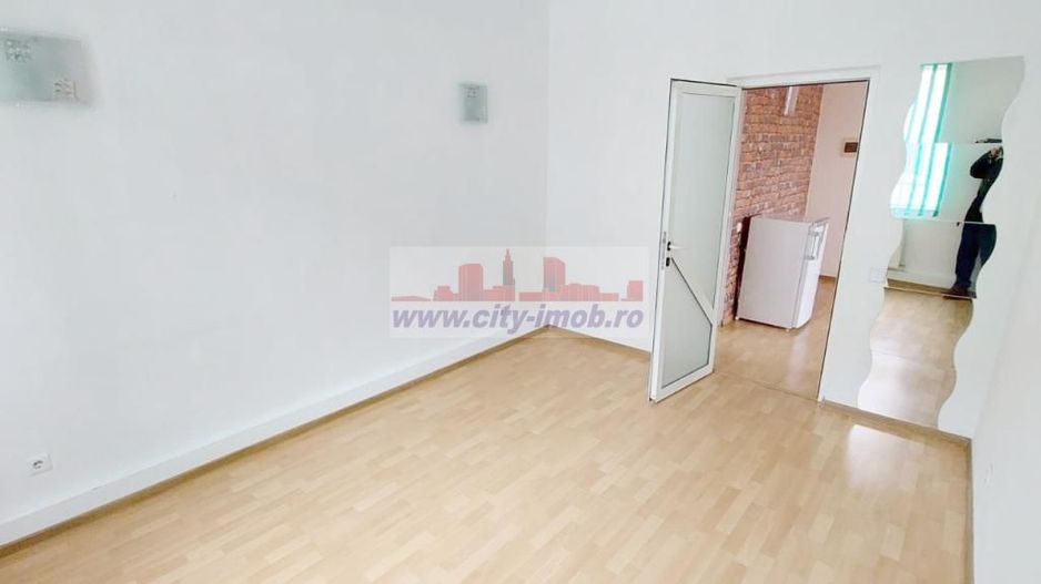 Inchiriere Apartment 3 Camere in VILA  Tineretului - Poză 13